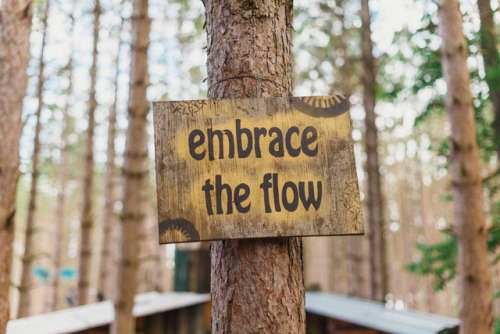 electricforestfest:Forest wisdom - words to live by. ✨...