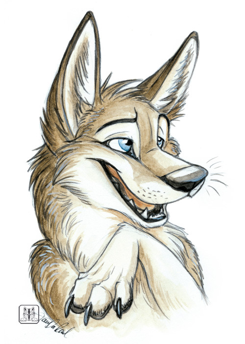 anthro coyote | Tumblr