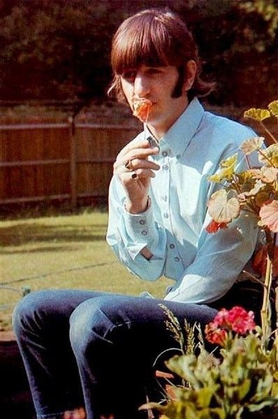 george harrison on Tumblr