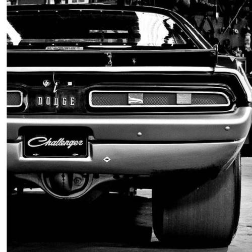 classicmusclevintagecars:Dodge Challenger #dodge #challenger...