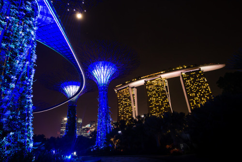 breathtakingdestinations:Marina Bay Sands - Singapore (by Franck...