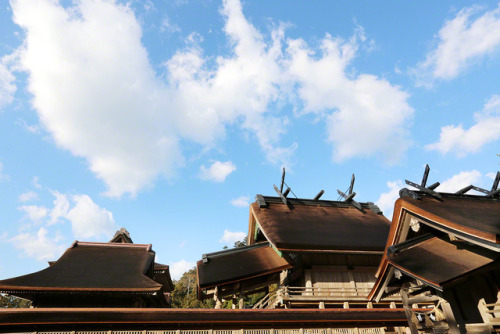 fujiwara57:Izumo taisha 出雲 大社 le lieu où se réunissent les...