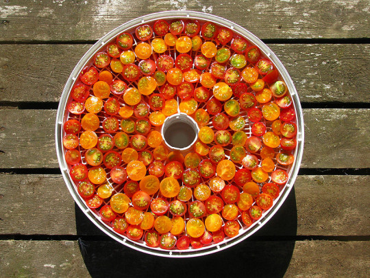 Wheel of Cherry Tomatoes