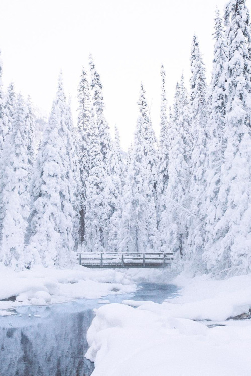 banshy:Dreaming of a Winter Wonderland // Rob Strok ★