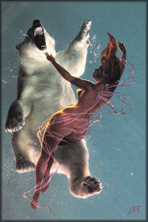 annashaberdashery:“Swimming with polar bears” by Anna Tuomisalo 