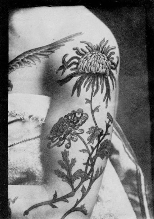 By Sutherland Macdonald, done at Tattoo: British Tattoo Art... big;chrysanthemum;facebook;flower;nature;sutherland macdonald;twitter;upper arm
