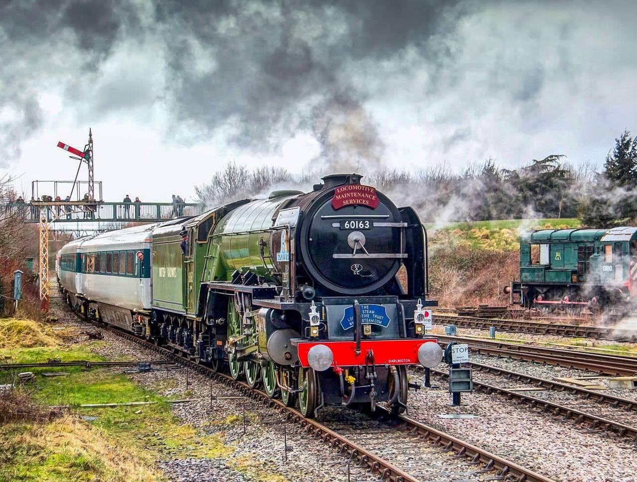 New steam railway фото 10