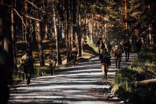 Norwegian infantrymen with C Company, 2nd Battalion, Northern...