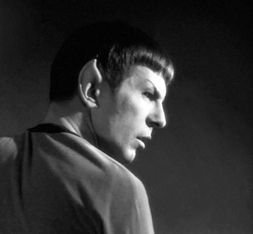 spock-idic:He’s SOOO gorgeous from absolutelyANY...