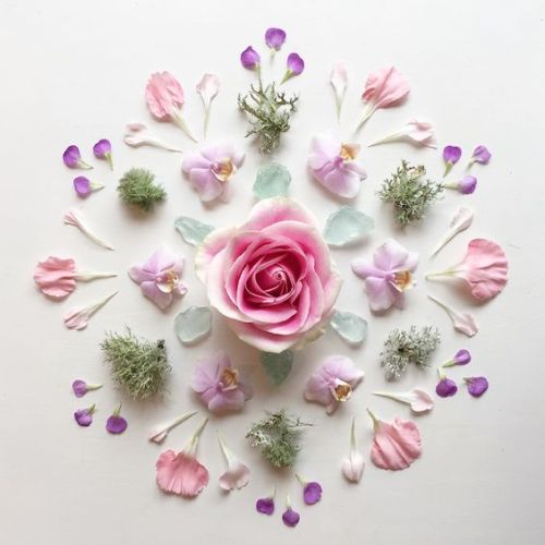 flowervibes:FLOWER BLOG