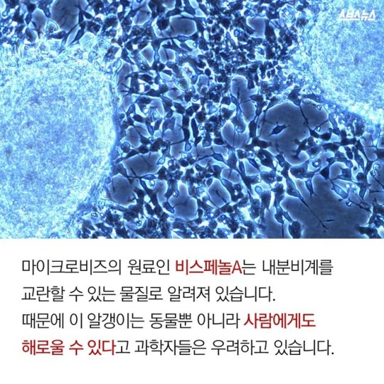 알갱이 있는 치약/화장품 쓰지 마세요 | 인스티즈