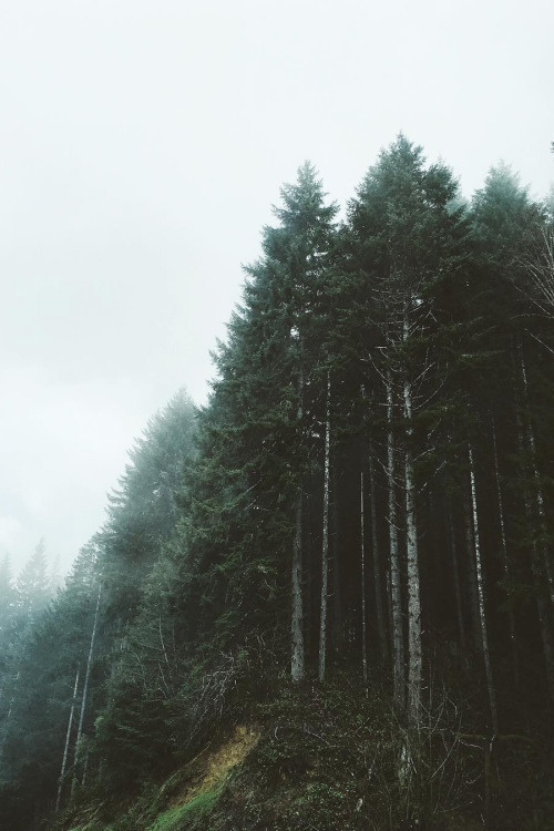 abovearth:Untitled by amberpoliti