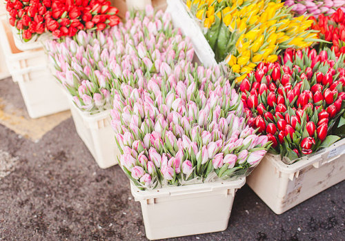 floralls:Columbia Road Flowers (by Carrie...