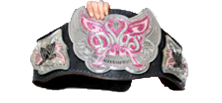 divas championship toy belt