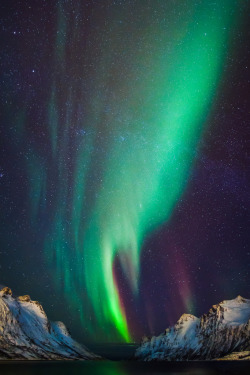 magicalnaturetour: