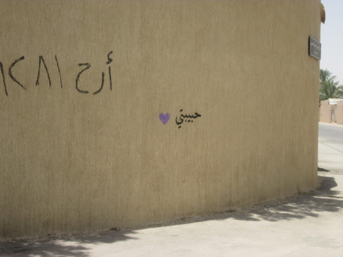 saudistreetart:thefishknows:Her Favorite Words, On Her Way...