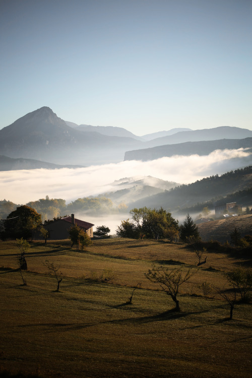 floorabella:“France in the morning…”