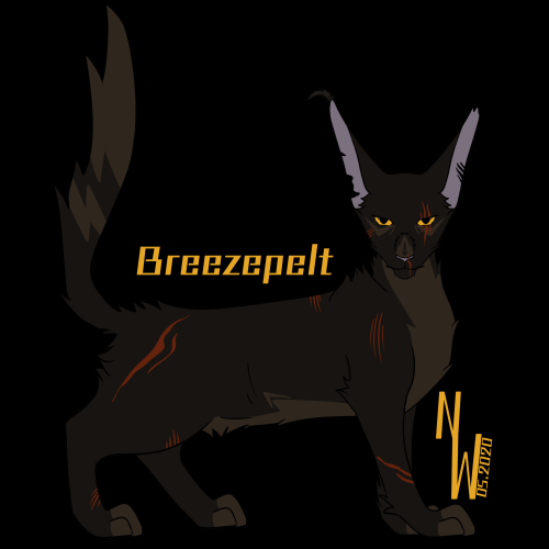 neila-draws-warrior-cats