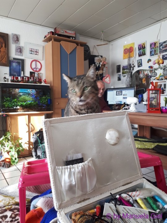 Bild