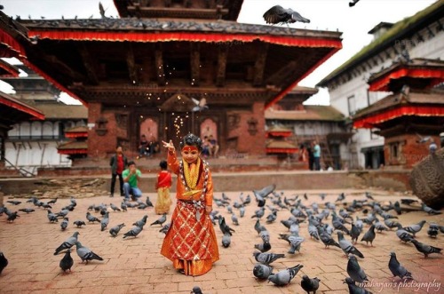 hinducosmos:Kumari or The Living Goddess of NepalA portrait...