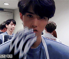 tumblr_ofwnq4aIFV1vrvsx9o2_r1_400.gif
