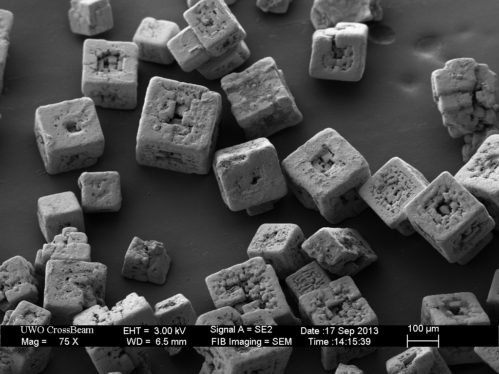 Scanning Electron Microscopy: Ultra-fine Table Salt (for French Fries).