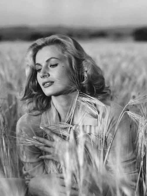 summers-in-hollywood:Anita Ekberg, 1955. Photos by André de...