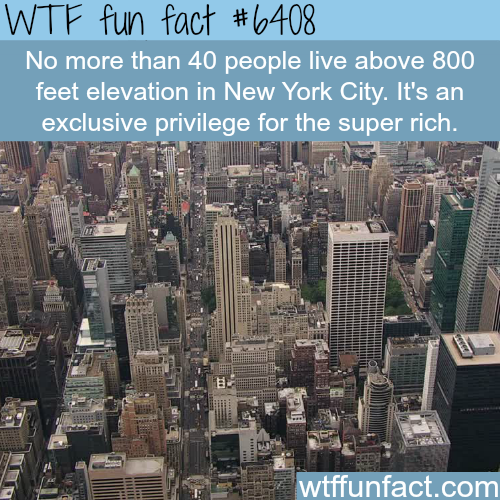 NYC - WTF fun facts