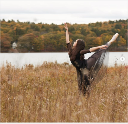 ballet ballerina dance dancer