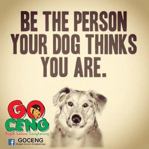 Dog Quotes
