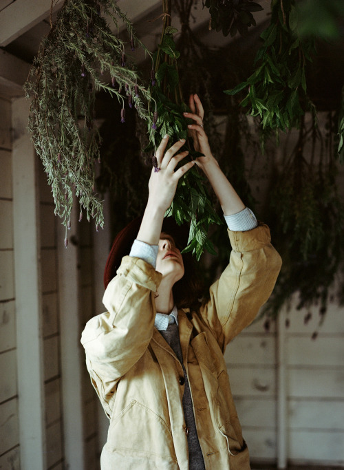 kinfolkmag:Herb Drying | Parker Fitzgerald