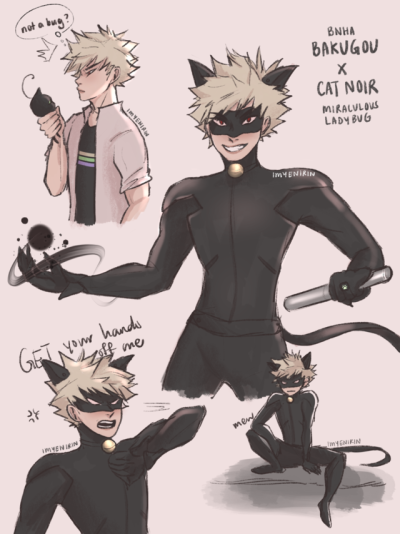 My Miraculous Academia Tumblr