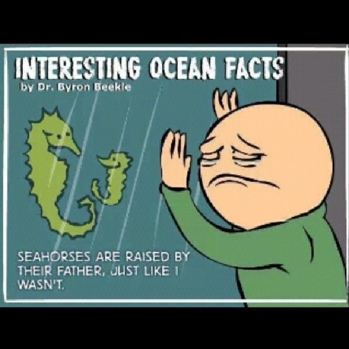 oceanfacts