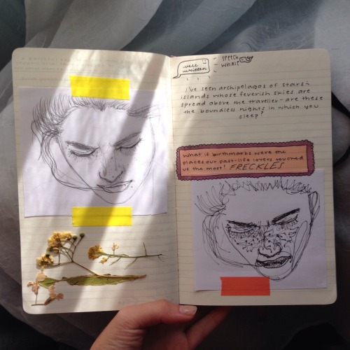 matissie:my journals + contents (for anon)