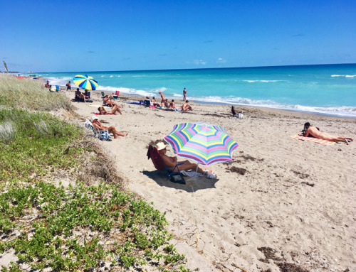 blindcreek-beach-florida:This is Blind Creek Nude Beach, on...