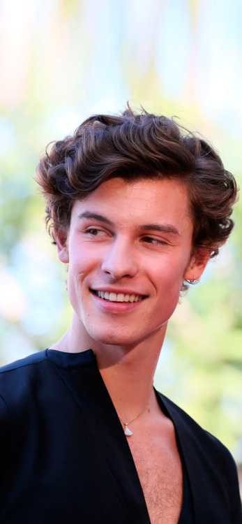 shawnmendesicons