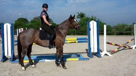 CAV Rassen die Leser reiten Leserfotos Michelle Schmidt