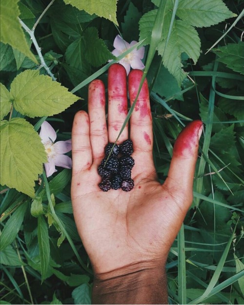 ambertamm:my year in produce; planted and grew and harvested so...