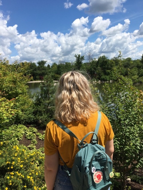 flowurygogh:pretty day at my local gardens 