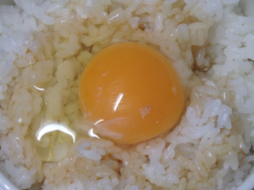 usualphotograph03