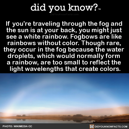if-youre-traveling-through-the-fog-and-the-sun