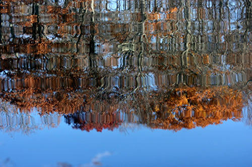 twilightsolo-photography:Reflections Part 2Rock Pond,...