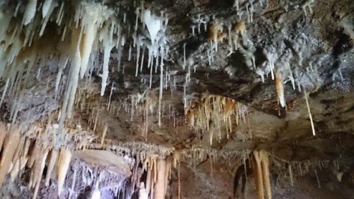 Speleothems! I love how different the calcite appears in...