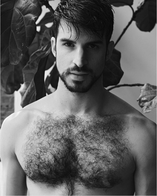 Body Hair Shrine of Beauty