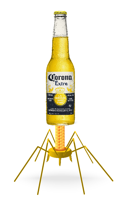 Image result for corona beer virus