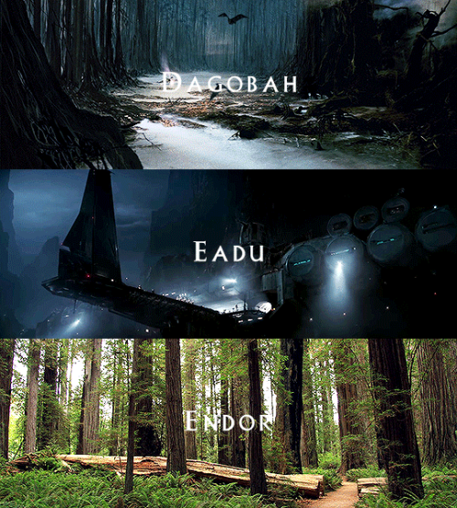 themadknightuniverse:the-savior-and-the-pirate:SW Movies +...