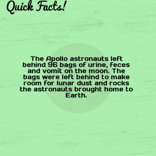 dailycoolfacts:Quick Fact: The Apollo astronauts left behind 96...