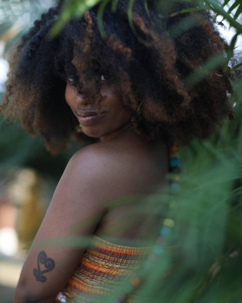essencewigs