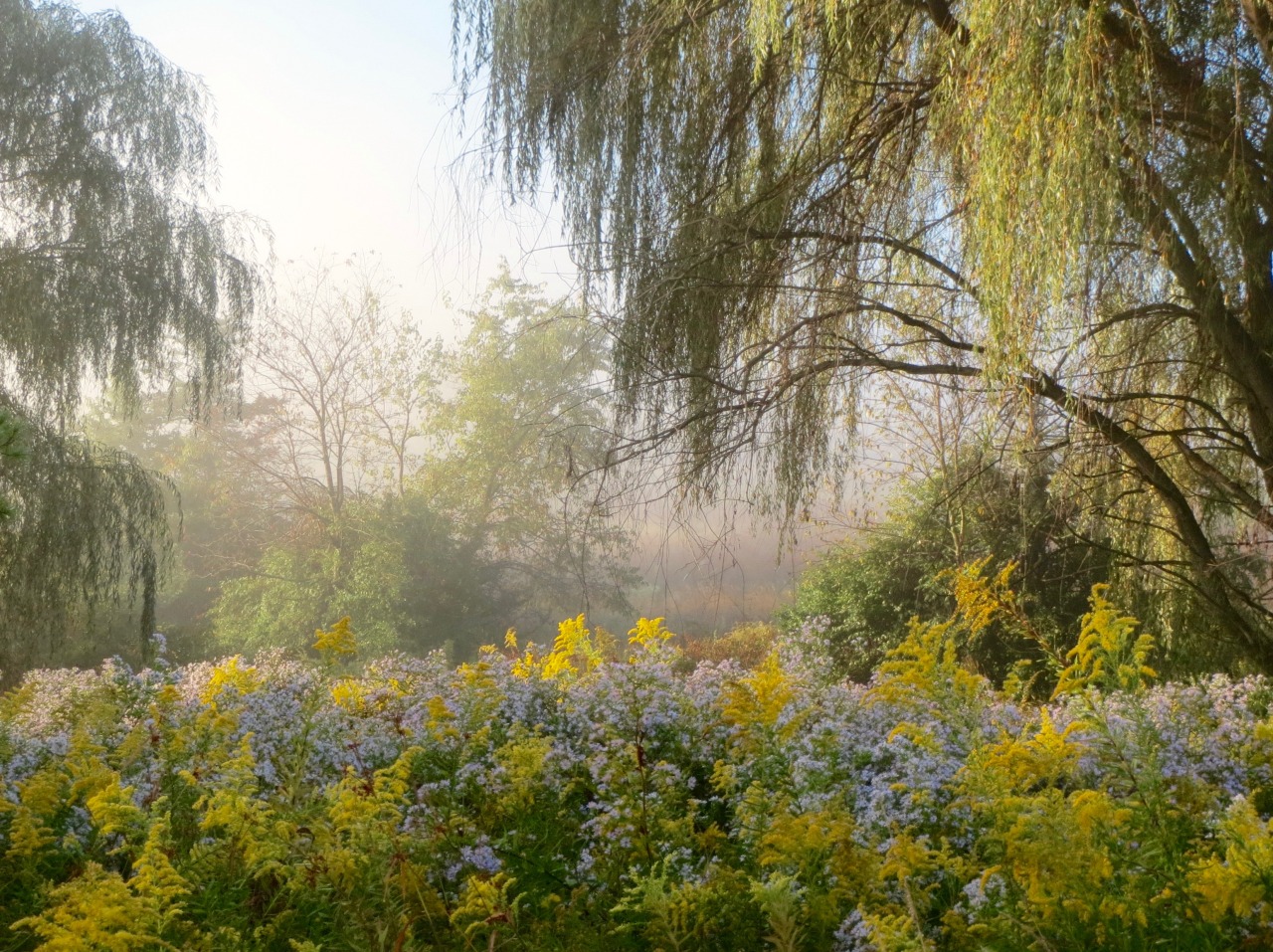 geopsych: â Irrational exuberance under the willows. â