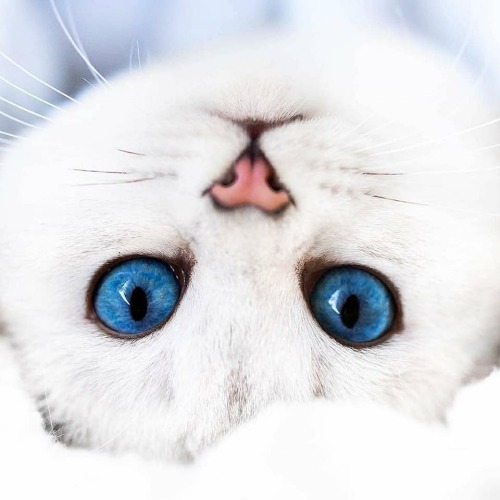 aww-so-pretty